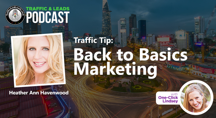 Traffic and Leads Podcast: Back to Basics Marketing